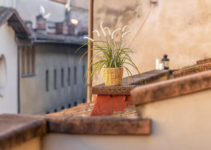 Hidden Nest Apartamento