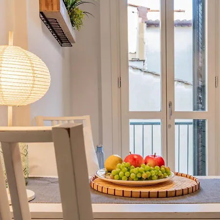 Hidden Nest Apartment Florence