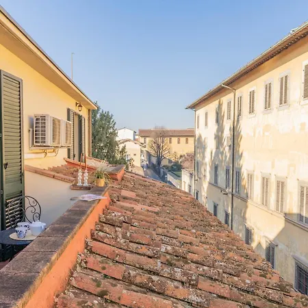 Hidden Nest * Florence