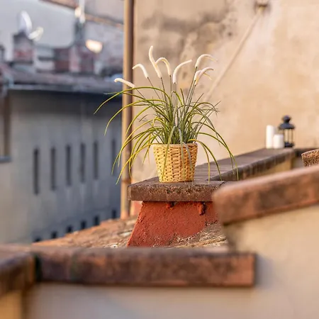 Hidden Nest Appartement